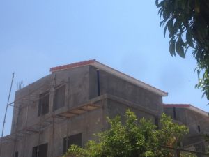 IMG_2831 (Medium)